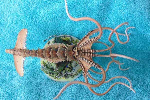 Kraken 2 зеркало