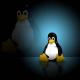 Как узнать, какой дистрибутив и версия Linux запущена?